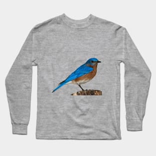 relaxing beautiful bird Long Sleeve T-Shirt